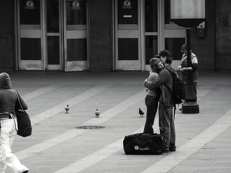 ***Love and pigeons