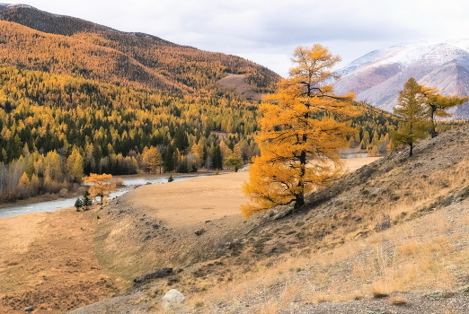 Autumn Gatchina