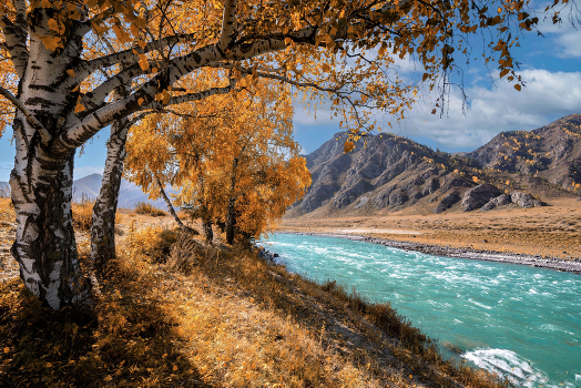 Altai Mountains