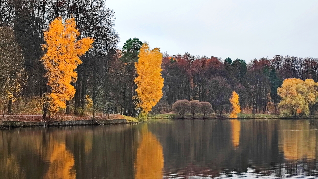 Autumn in the city