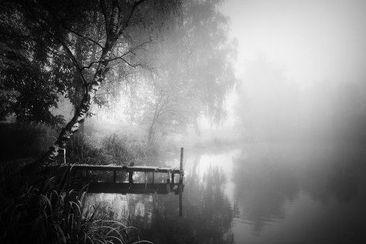 Quiet pond