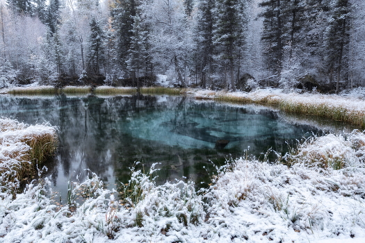 The first snow