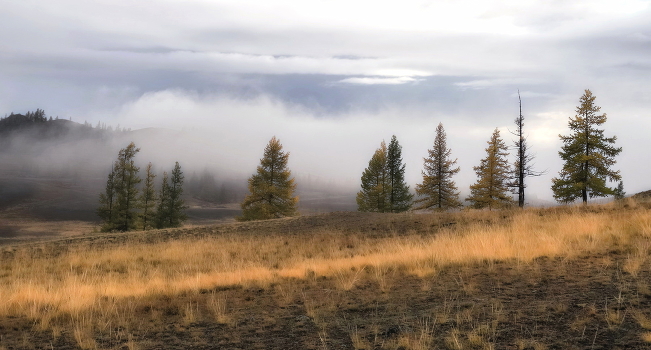 autumn mist