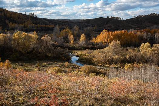 colors of autumn