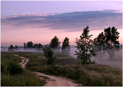 Morning Landschaft