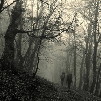 For the mist ...