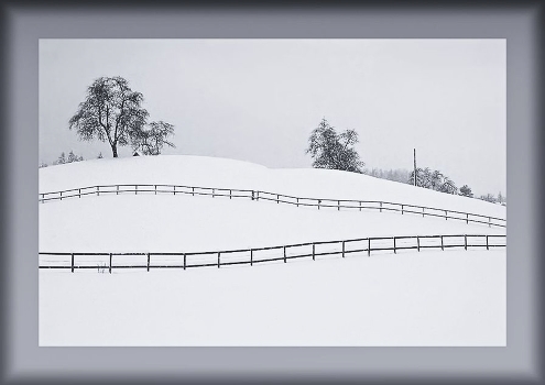 Winter melody