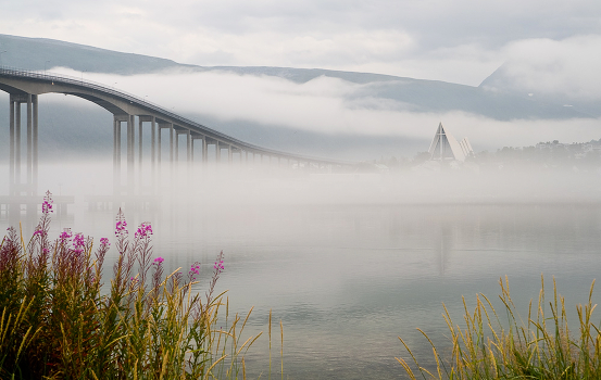 Fog over the fjord