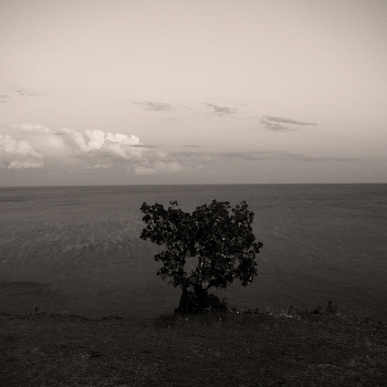 ... Solitude on the edge of the earth ...