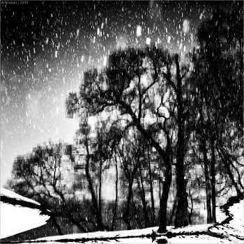 [ Terrible Trees ]