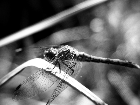 Take off