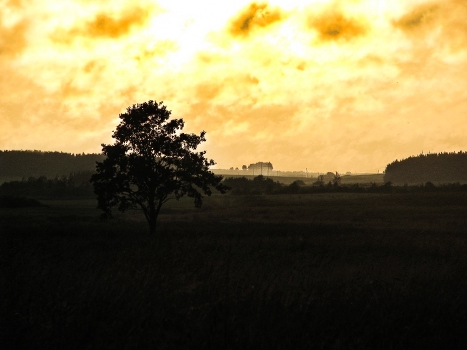 Thunderstorm