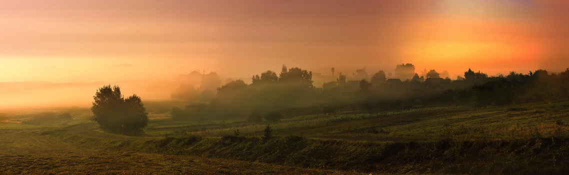 Foggy Morning