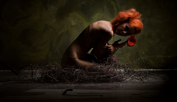 In the nest