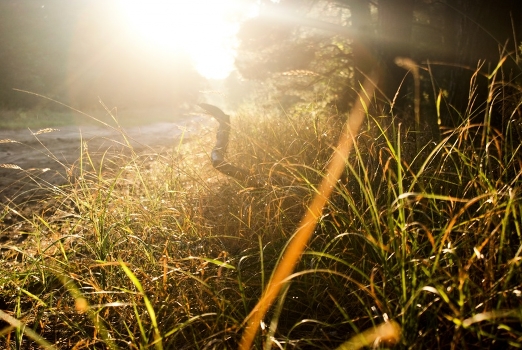 Play of light