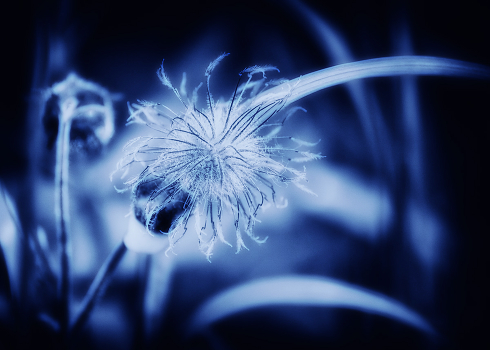 a blue color - II