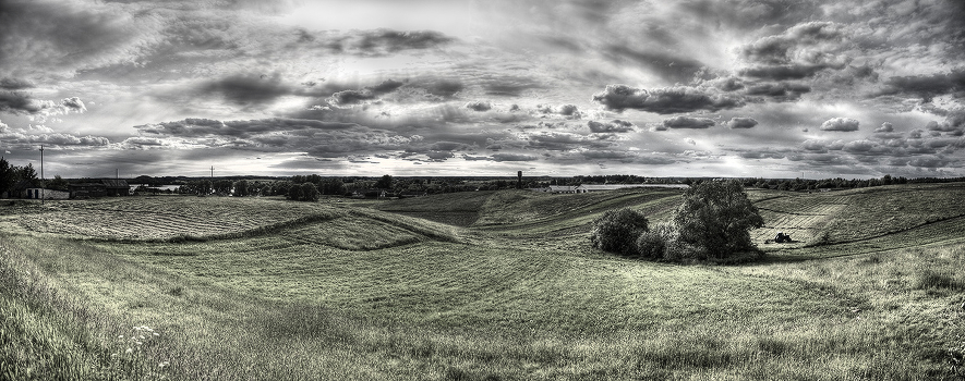 Undulating field