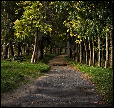 Walk in the park ...