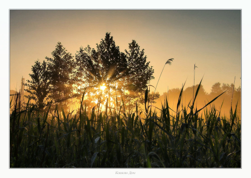 Towards the dawn ...