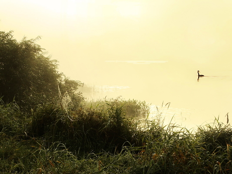 Warm morning ...