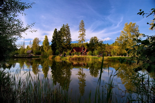 Autumn time ...