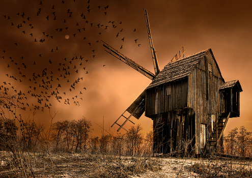 Magician on the field of wind