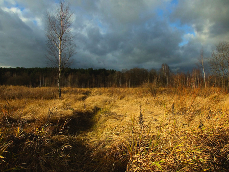 Autumn