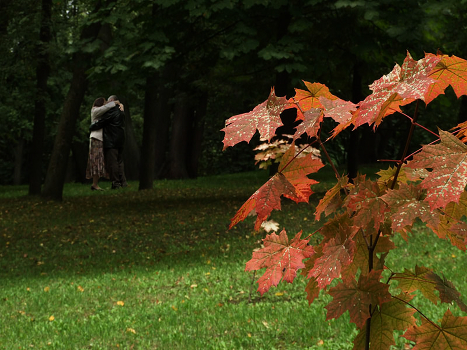 Autumn Kiss
