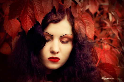 in the fall ...