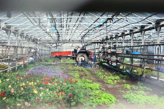 greenhouses