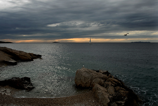 Beach, seagull, sail