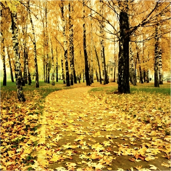 [ autumn sketches *2 ]