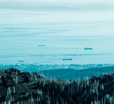 *the view*
