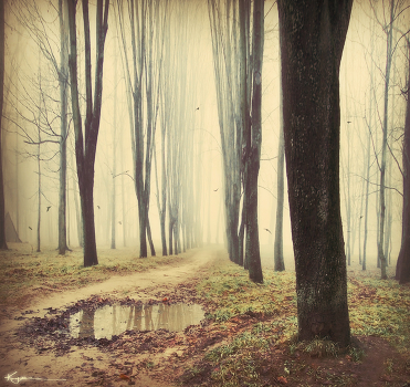 Misty