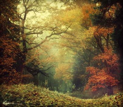 Autumn