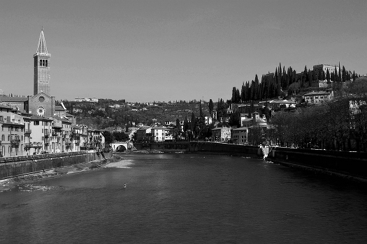 About fishing on the (in) the river Adige
