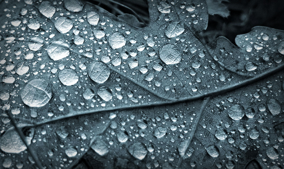 Drops