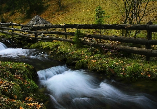 Creek