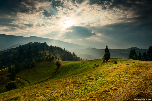 One morning