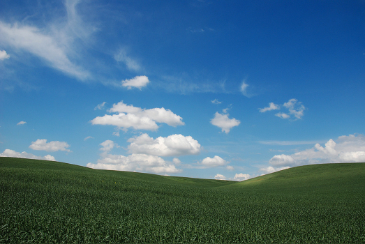 Windows BY