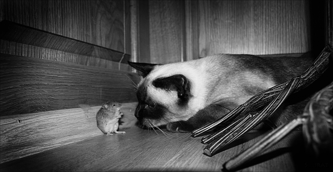 What happens next?
