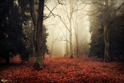 Autumn