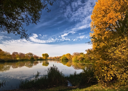 Autumn Gold and blue summer ...