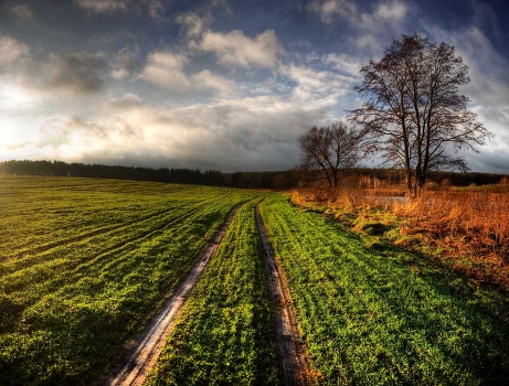 | The road to the clouds |