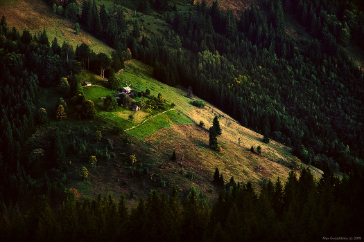 Twilight