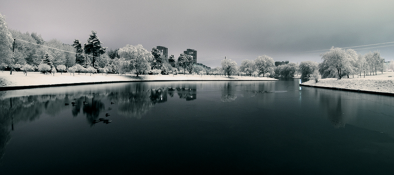 Winter Evening