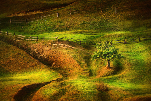 Tranquillity