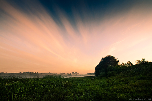 Flame of dawn