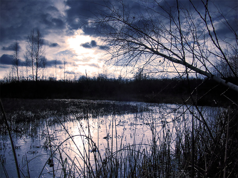 In the cold light of night...