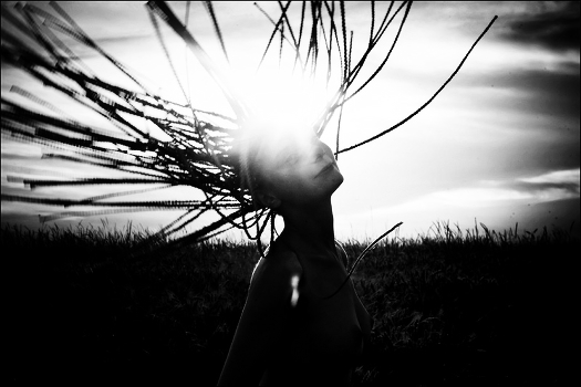 Sonnige Tage